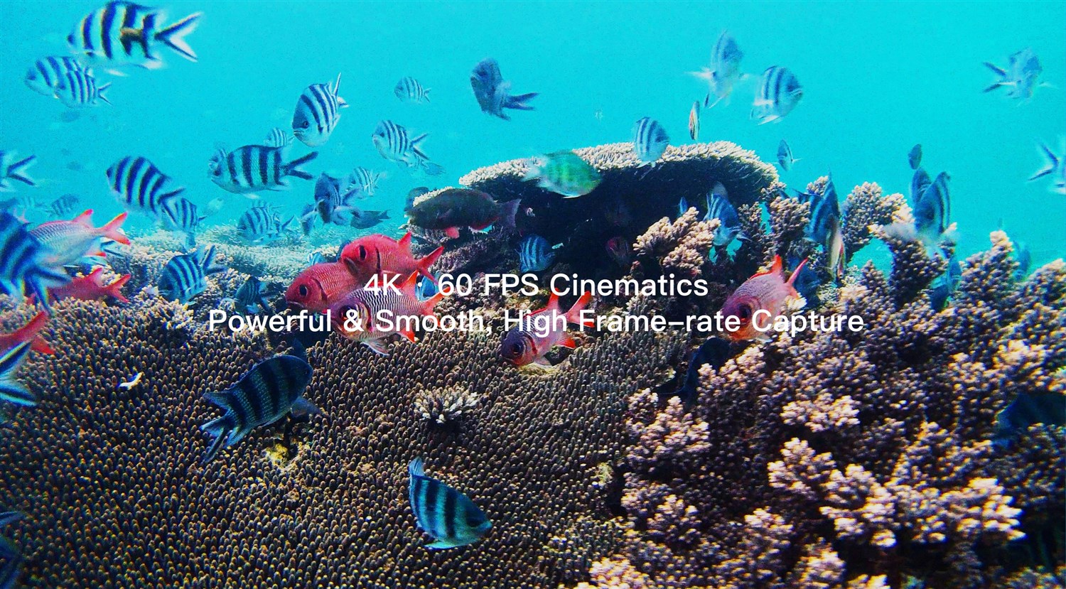 FIFISH V-EVO 100m - Undervandsdrone/ROV