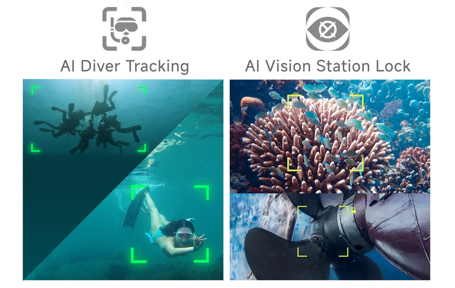 FIFISH V-EVO 100m m/Grip arm - Undervandsdrone