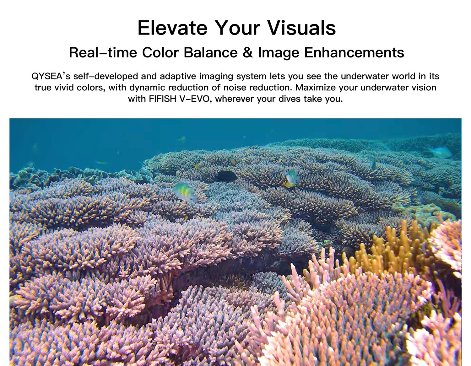 FIFISH V-EVO 100m m/Grip arm - Undervandsdrone