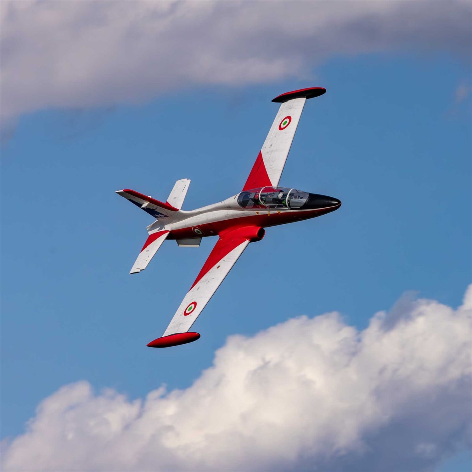 Hangar 9 MB-339 Aermacchi Turbine 84" 2.1m AR